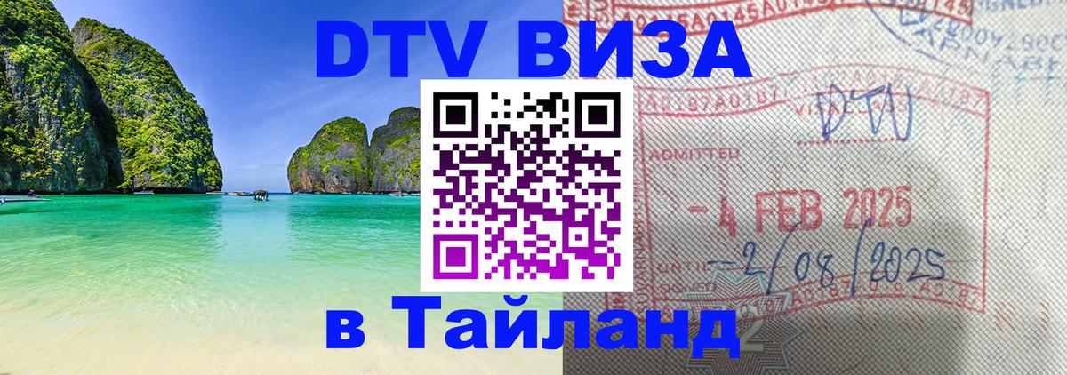 Оформление DTV визы под ключ: стоимость и тарифы, только загранпаспорт - 